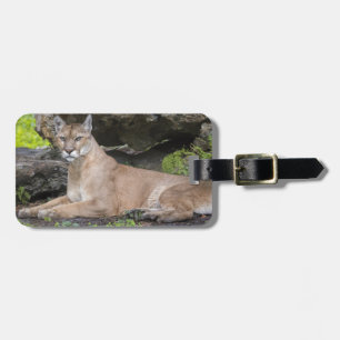 Florida Panther Gepäcktag Gepäckanhänger