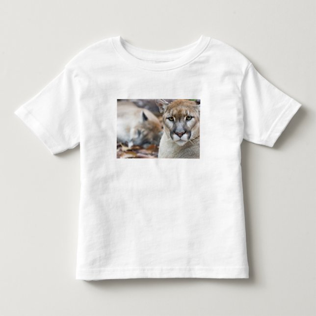 Florida Panther Kleinkind T-shirt (Vorderseite)