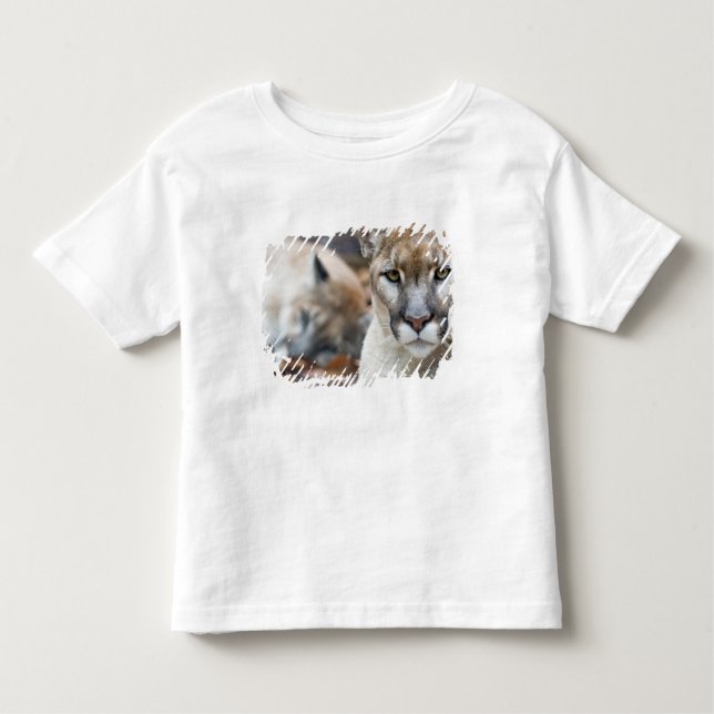 Florida Panther Kleinkind T-shirt (Vorderseite)
