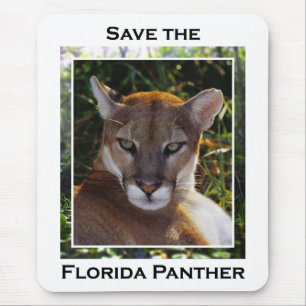 Florida Panther Mousepad