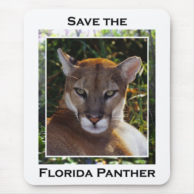 Florida Panther Mousepad (Vorne)