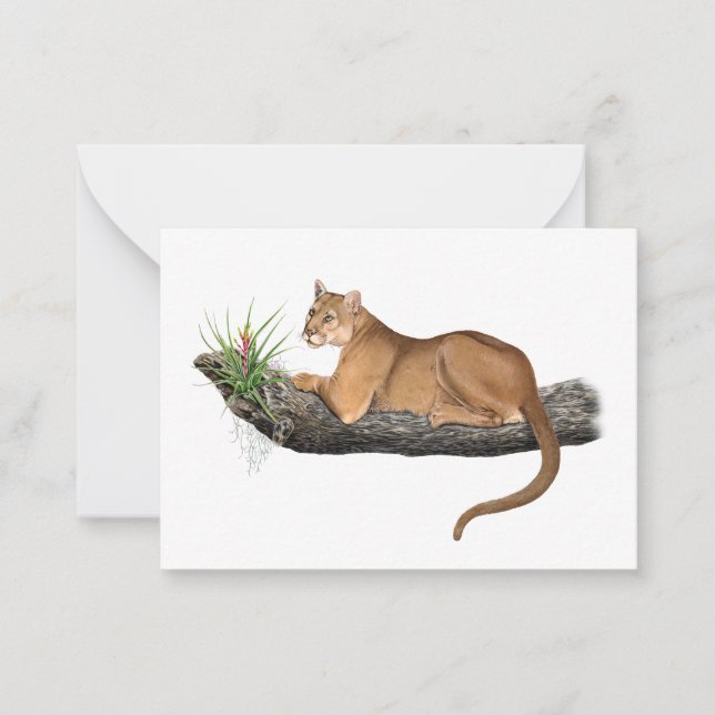 Florida Panther Note Card Mitteilungskarte (Vorderseite)