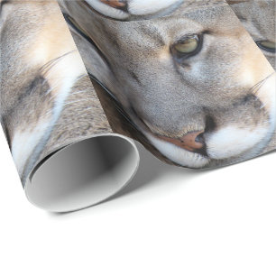 Florida-Panther-Packpapier (4071) Geschenkpapier