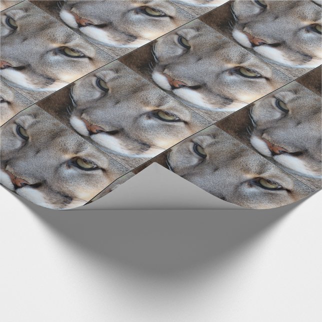 Florida-Panther-Packpapier (4071) (Grenze) Geschenkpapier (Ecke)