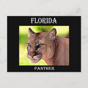 Florida Panther Postkarte