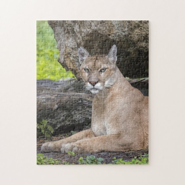 Florida-Panther-Puzzlespiel Puzzle (Vertikal)