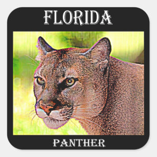 Florida-Panther Quadratischer Aufkleber
