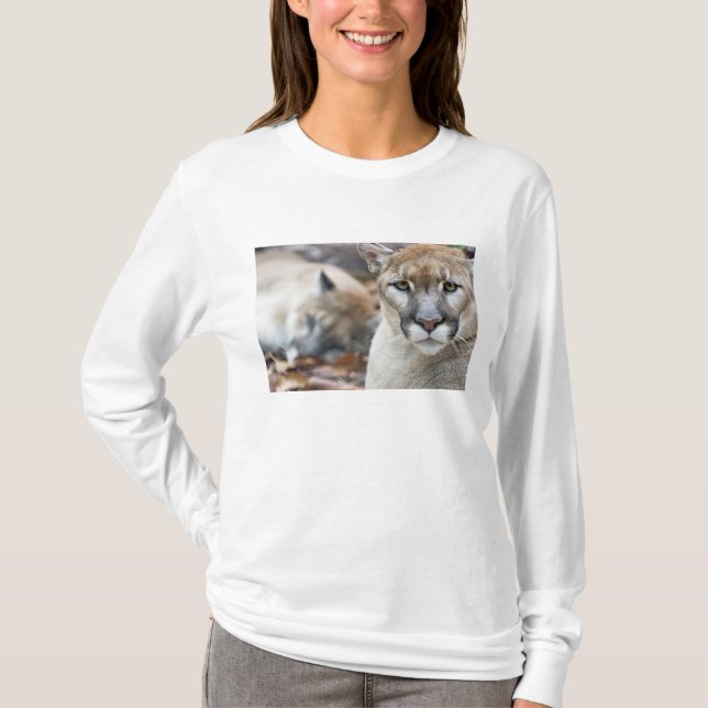 Florida Panther T-Shirt (Vorderseite)