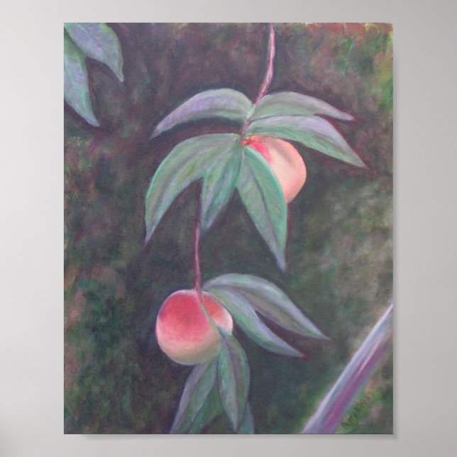 FLORIDA PEACHES Poster (Vorne)