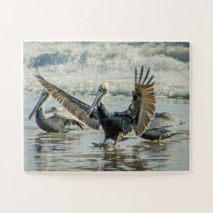 Florida Pelicans Birds Nature Beach Oversifiziert Puzzle