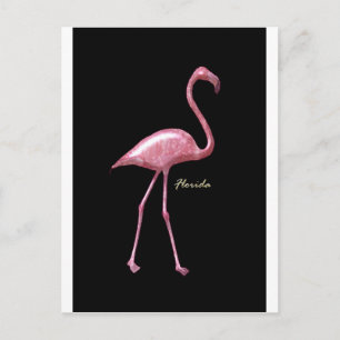 Florida Pink Flamingo Postkarte