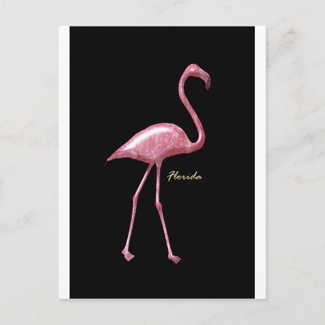 Florida Pink Flamingo Postkarte (Vorderseite)