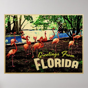 Florida Pink Flamingos Poster