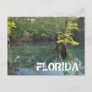 FLORIDA POSTKARTE