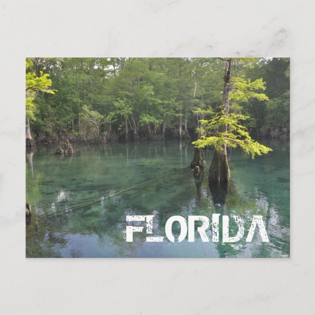 FLORIDA POSTKARTE (Vorderseite)