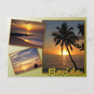 Florida Postkarte