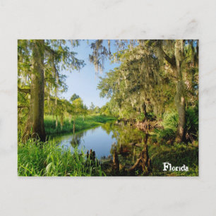 Florida Postkarte