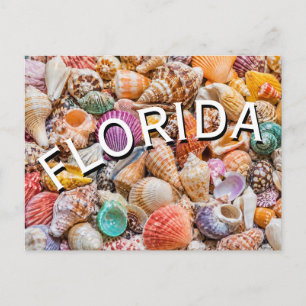 Florida  postkarte