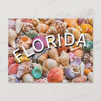 Florida  postkarte