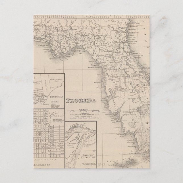 Florida Postkarte (Vorderseite)