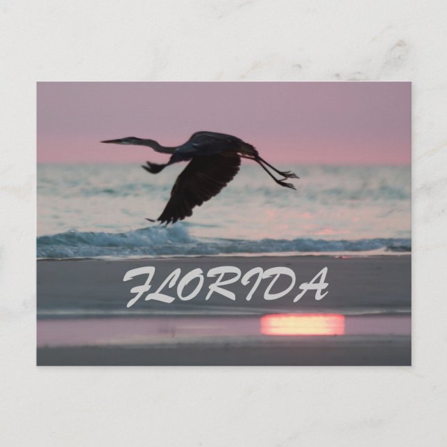 FLORIDA POSTKARTE (Vorderseite)