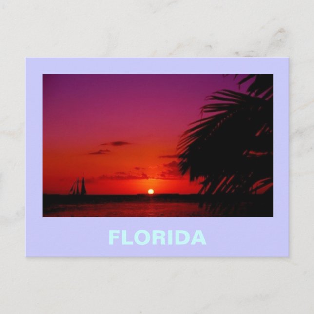 FLORIDA POSTKARTE (Vorderseite)