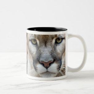 Florida-Puma Zweifarbige Tasse