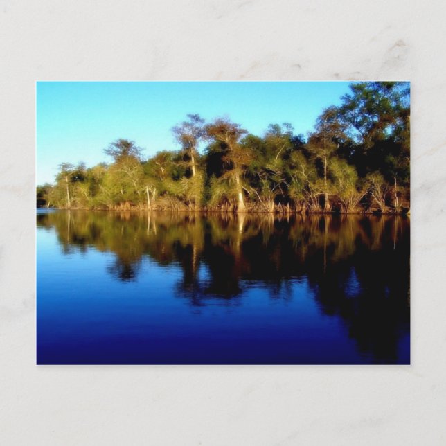 Florida River Postkarte (Vorderseite)