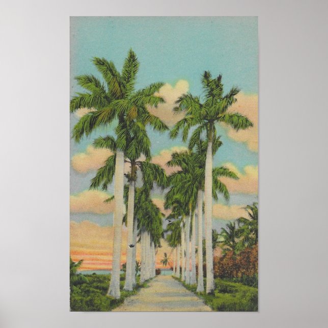 Florida Royal Palms Poster (Vorne)