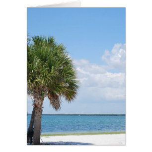 Florida - ruhiger Strand