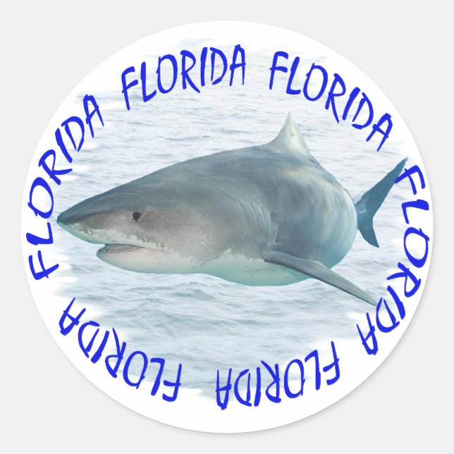 Florida Runder Aufkleber (Vorderseite)