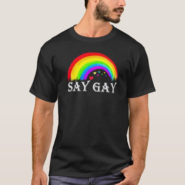 Florida sagt Gay Everyday Protect Que Protect Tra T-Shirt (Vorderseite)