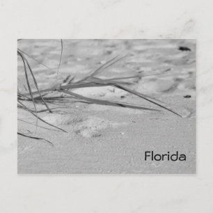 Florida Sand Postkarte
