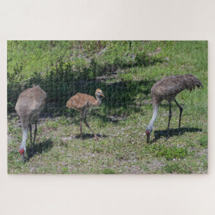Florida Sandhill Cranes Familienfotos Puzzle