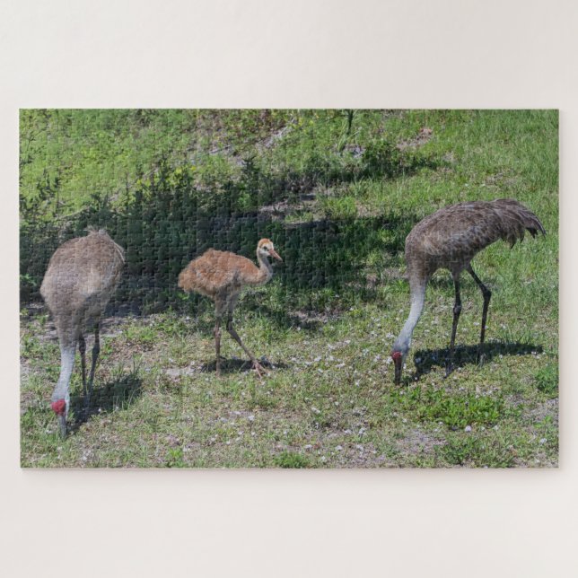 Florida Sandhill Cranes Familienfotos Puzzle (Horizontal)