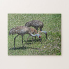 Florida Sandhill Cranes Wandern auf dem grünen Fel Puzzle