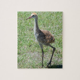 Florida Sandhill-Krane in Grünfeldfotografie Puzzle