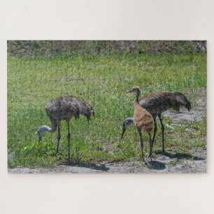 Florida Sandhill-Krane in Grünfeldfotografie Puzzle