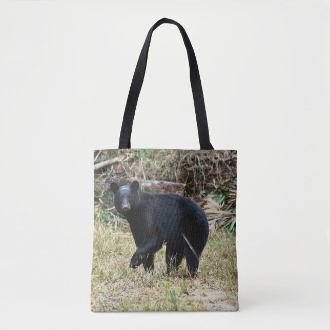Florida-Schwarzbär (Vorderseite)