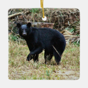 Florida-Schwarzbär Keramikornament