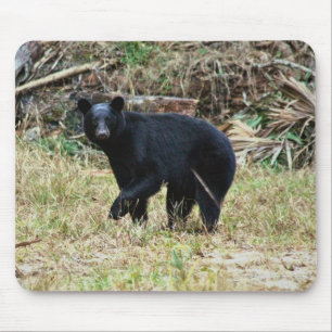 Florida-Schwarzbär Mousepad