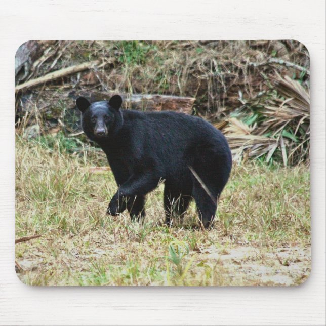 Florida-Schwarzbär Mousepad (Vorne)