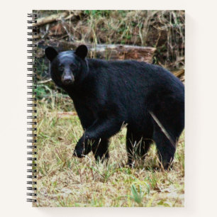 Florida-Schwarzbär Notizbuch