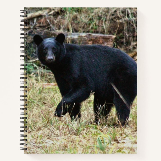 Florida-Schwarzbär Notizbuch (Vorderseite)