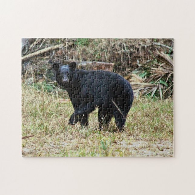 Florida-Schwarzbär Puzzle (Horizontal)