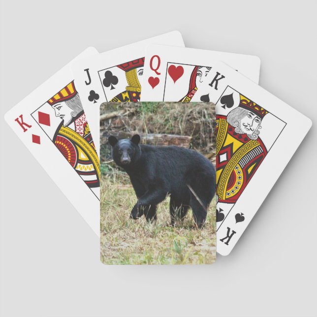 Florida-Schwarzbär Spielkarten (Rückseite)