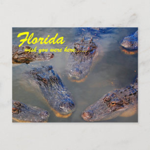 Florida Schwimmbad Postkarte