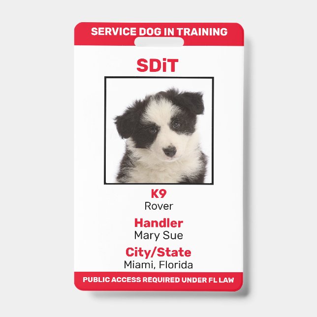 Florida SDiT (Service Dog In Training) Info-Abzeic Ausweis (Vorderseite)