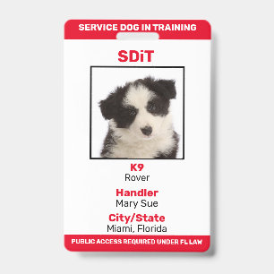 Florida SDiT (Servicehund in Ausbildung) Info-Abze Ausweis