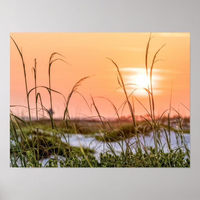 Florida Sea Oats Sunrise Poster (Vorne)